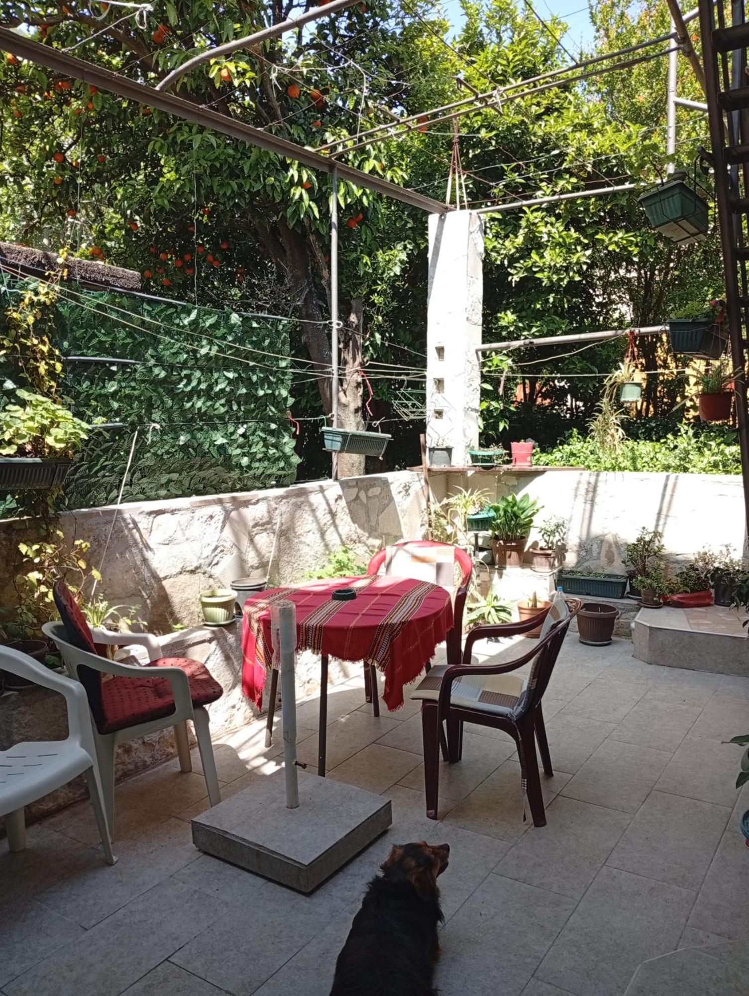 Apartment Radovic 코토르 외부 사진